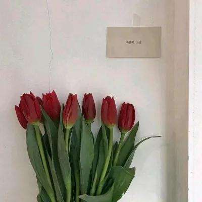 澳门最准最快资料网站下载